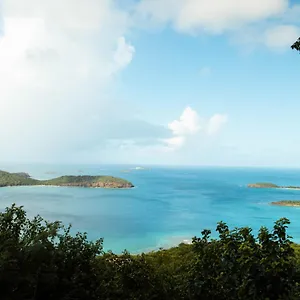 Aleli Isla Culebra